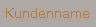 Kundenname